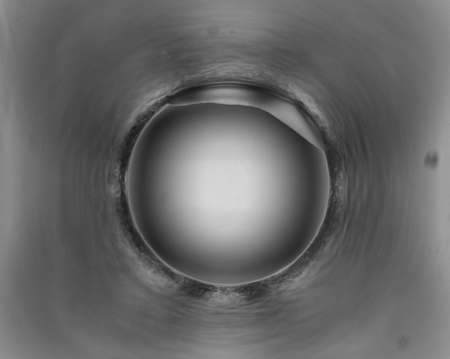 X0000091360403200708171528