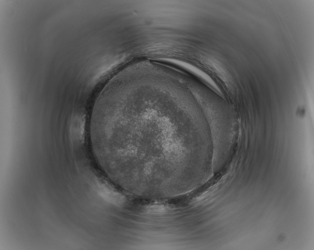X0000091360404200708171528
