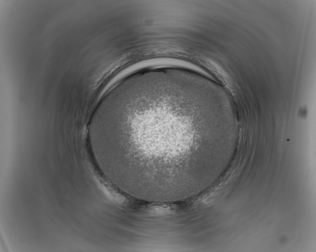 X0000091360405200708171528