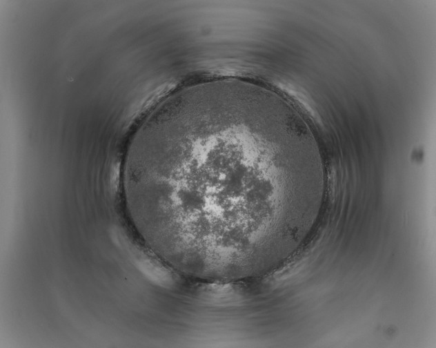 X0000091360406200708171528