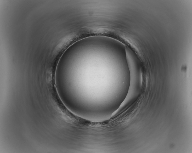 X0000091360407200708171528