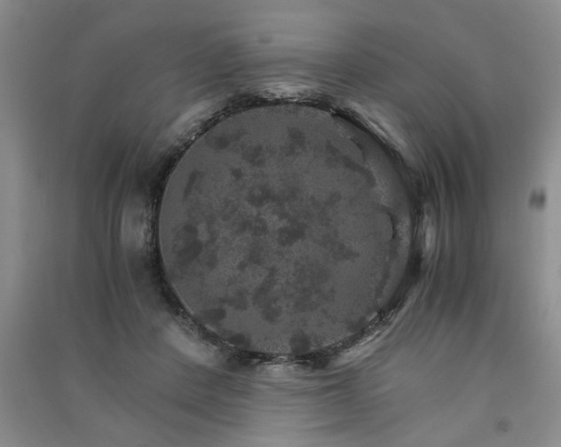 X0000091360408200708171528