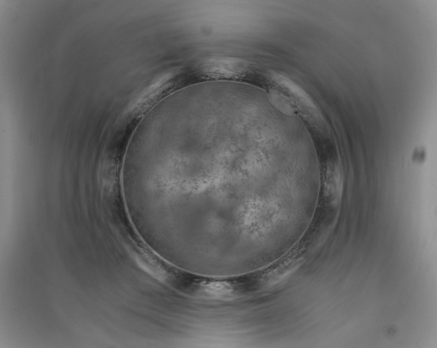 X0000091360409200708171528