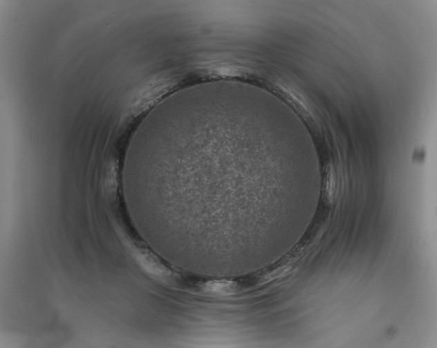 X0000091360410200708171528