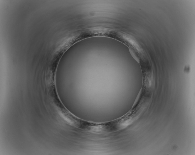 X0000091360411200708171528