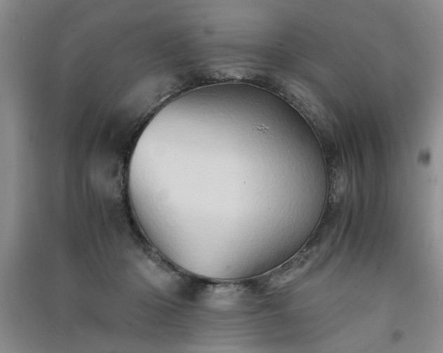 X0000091360414200708171528