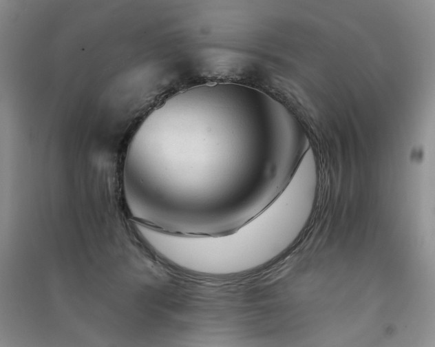 X0000091360416200708171527
