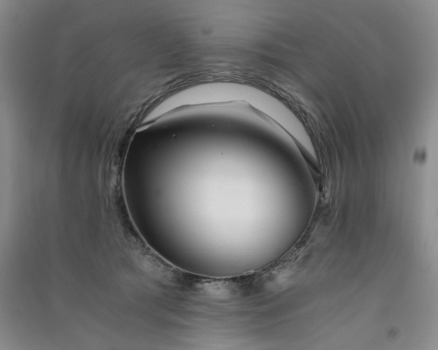 X0000091360417200708171527