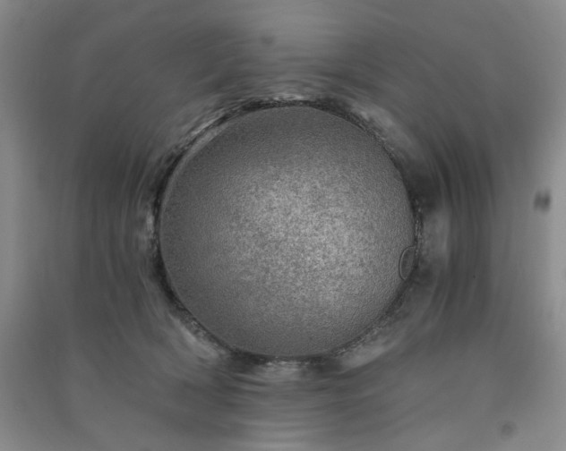 X0000091360418200708171527