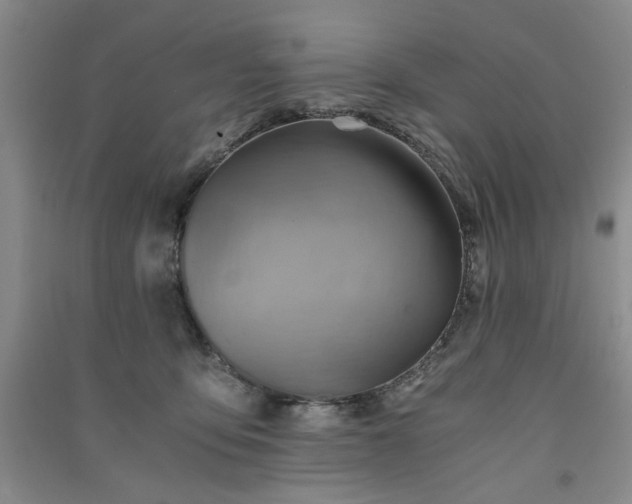 X0000091360419200708171527