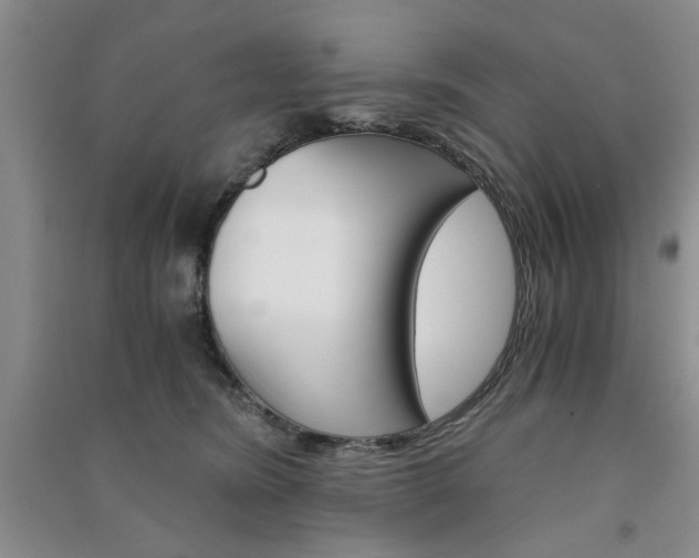 X0000091360420200708171527