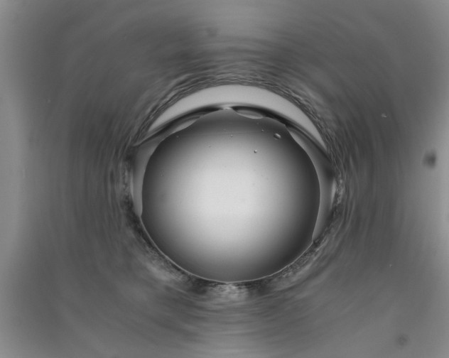 X0000091360421200708171527