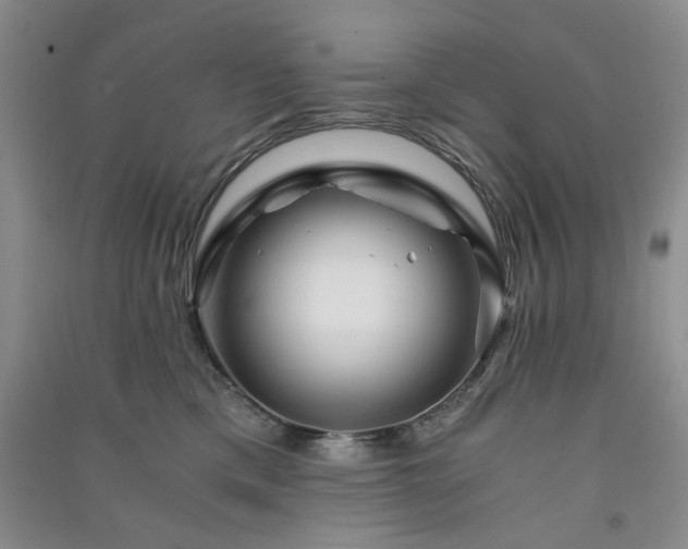 X0000091360425200708171527