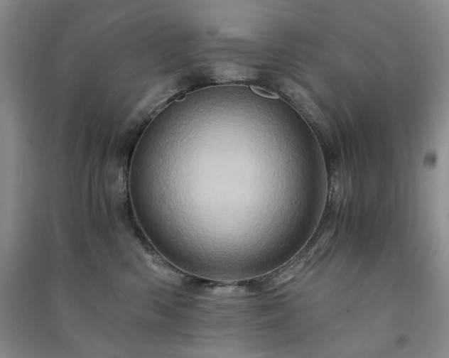 X0000091360426200708171527