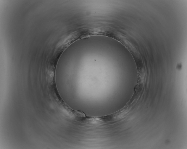 X0000091360427200708171527