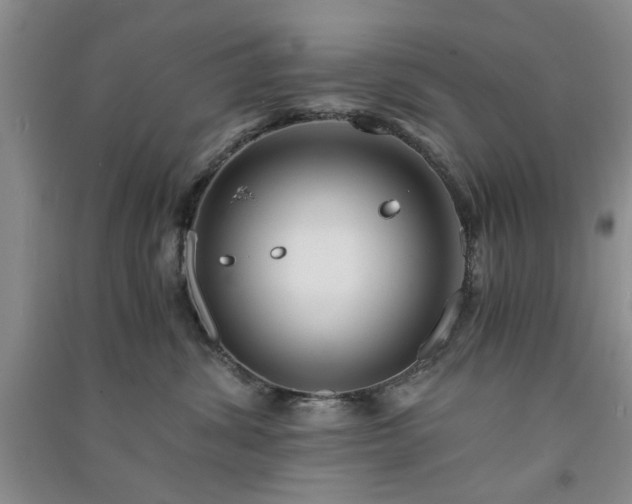 X0000091360428200708171527