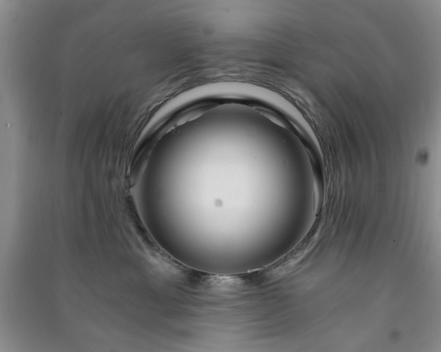 X0000091360429200708171527