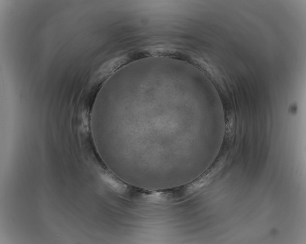 X0000091360430200708171527