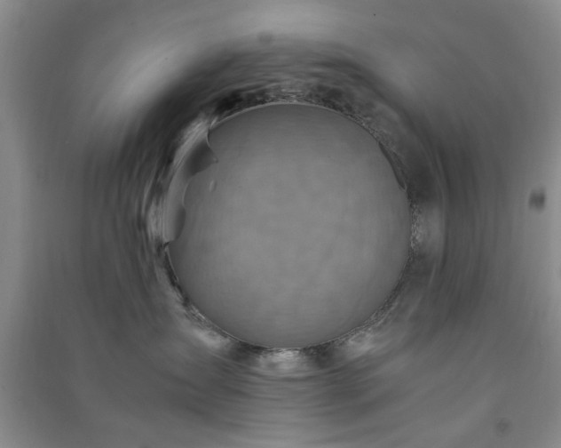 X0000091360431200708171527