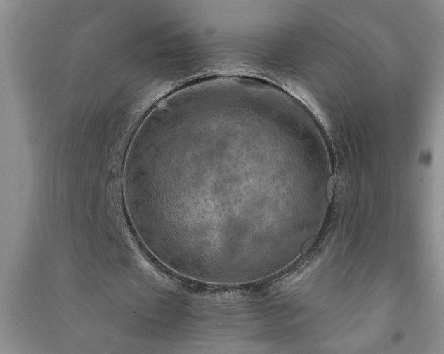 X0000091360433200708171527