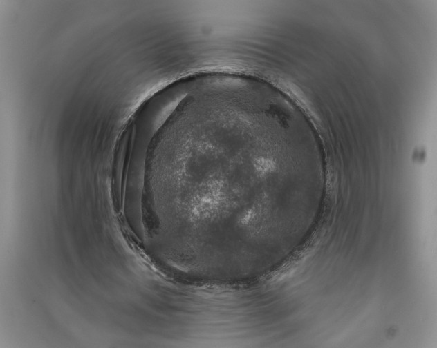 X0000091360434200708171527