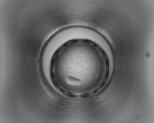 X0000091360436200708171527