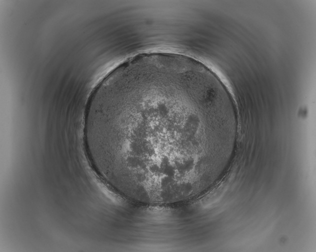 X0000091360437200708171527