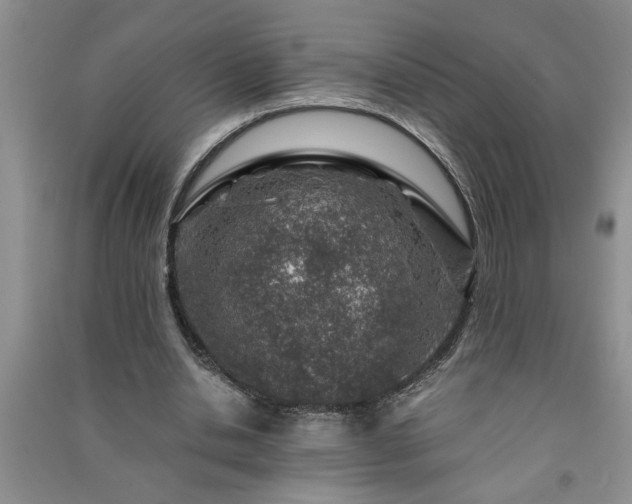 X0000091360438200708171527