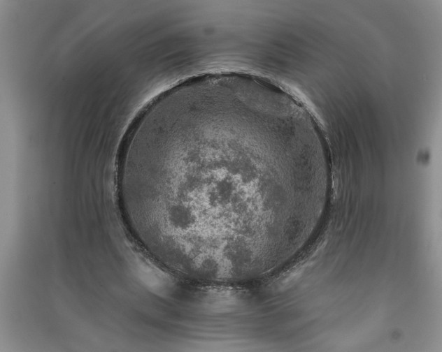 X0000091360439200708171527