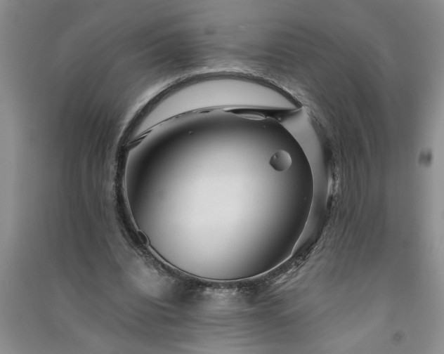 X0000091360440200708171527