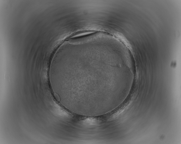 X0000091360441200708171527