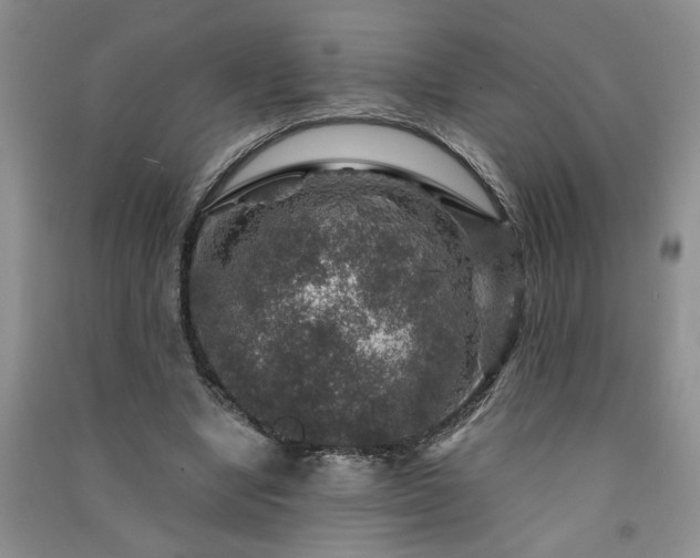 X0000091360442200708171527
