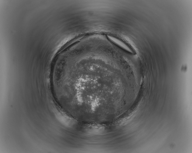 X0000091360443200708171527