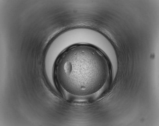 X0000091360444200708171527