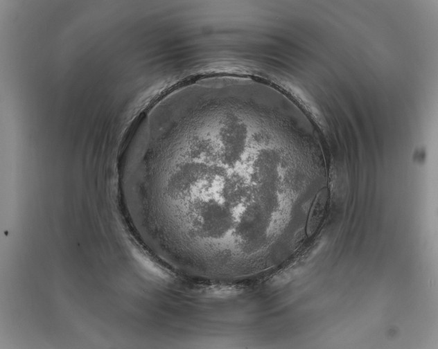 X0000091360445200708171527