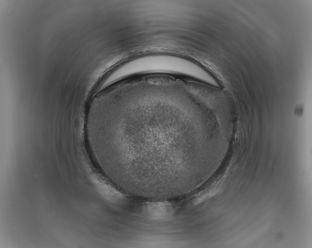 X0000091360446200708171527