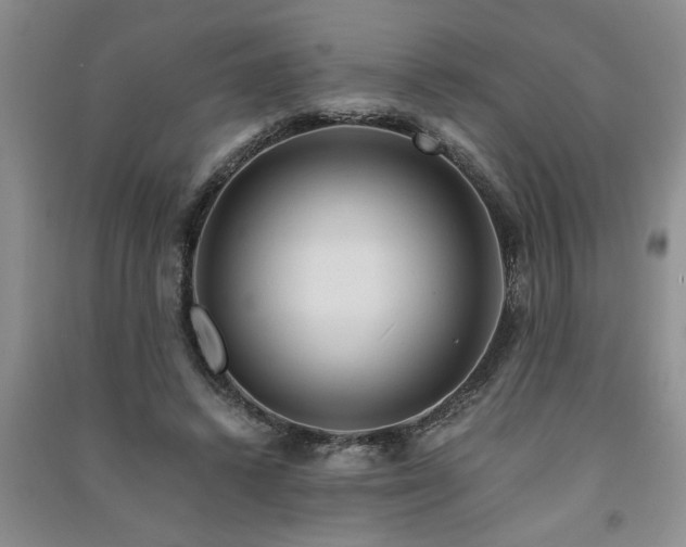 X0000091360448200708171527