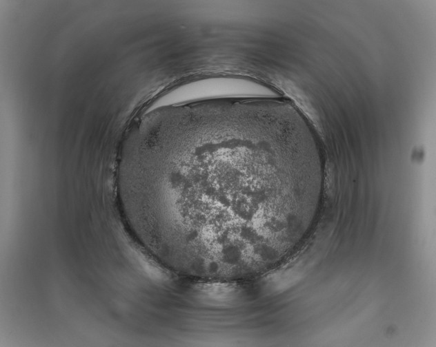 X0000091360449200708171527