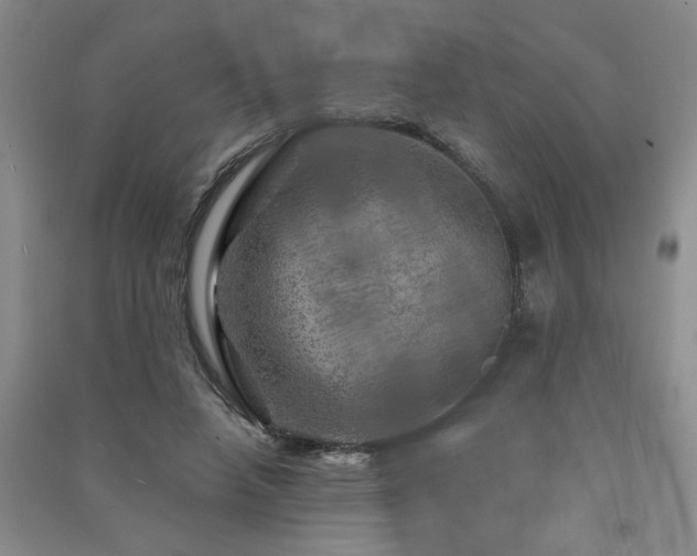 X0000091360450200708171527