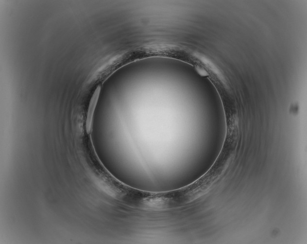X0000091360452200708171527
