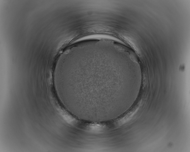 X0000091360453200708171527