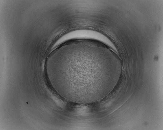X0000091360454200708171527