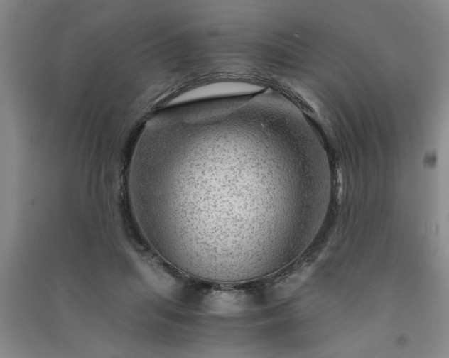 X0000091360455200708171527