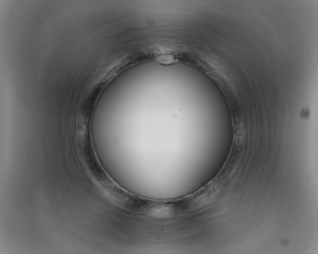 X0000091360456200708171527