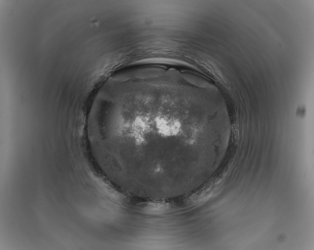 X0000091360458200708171527