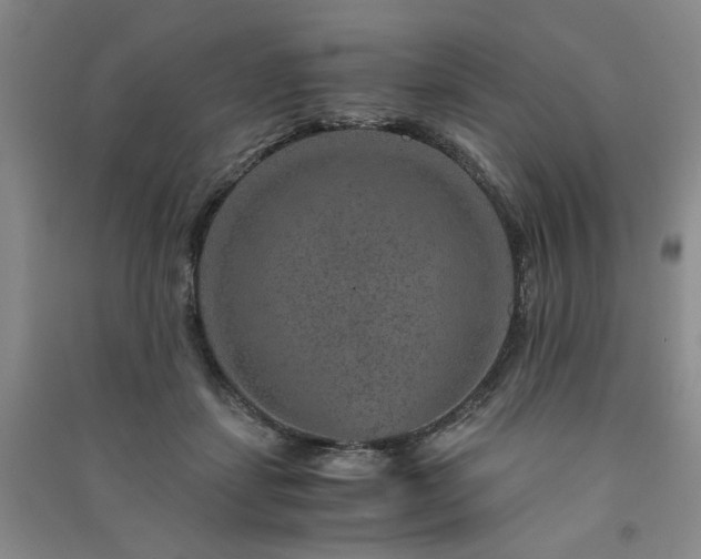 X0000091360459200708171527