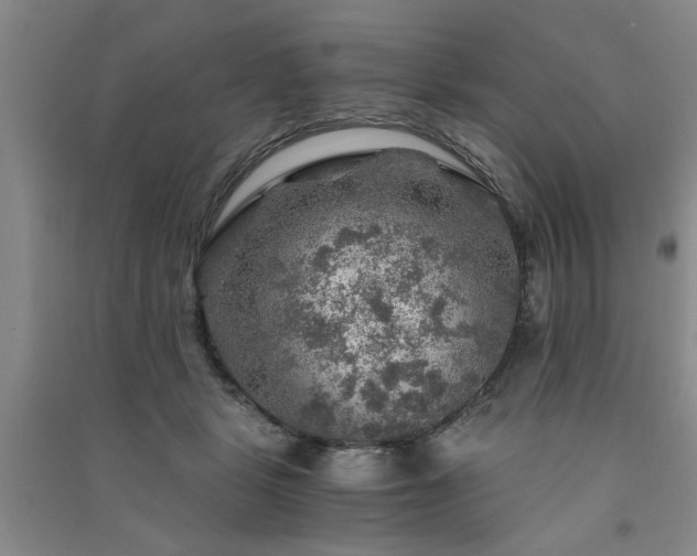 X0000091360461200708171527