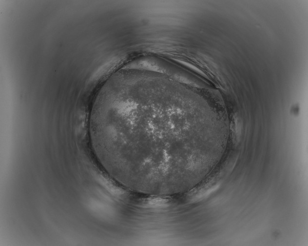 X0000091360462200708171527