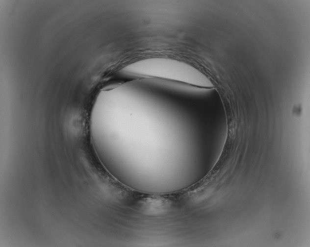 X0000091360464200708171527
