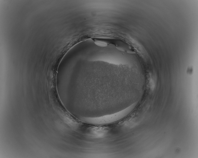 X0000091360465200708171527